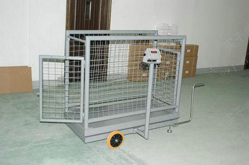 3�����P�������