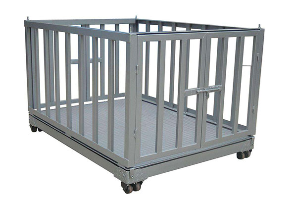 1000�������i��