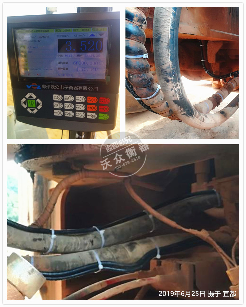 �˶�֦���b�d�C��ӳӰ��b�F��